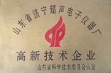 高新技術(shù)企業(yè)